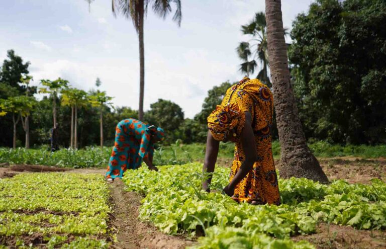 HH ENCOURAGES THE YOUTH TO VENTURE INTO LUCRATIVE FARMING