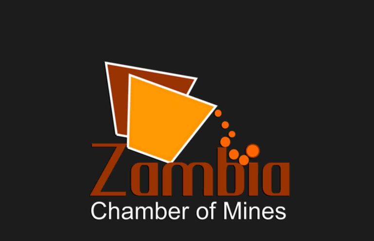 CHAMBER OF MINES MAKES PROPOSALS FOR 2025 BUDGET