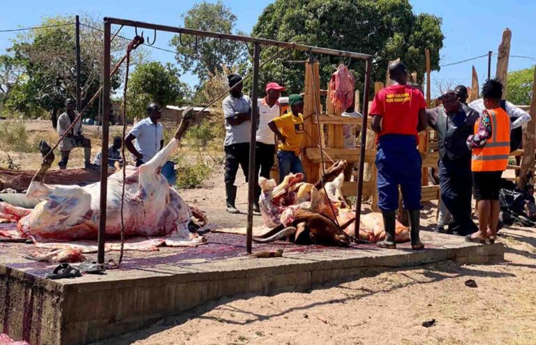 MONGU COUNCIL SEIZES TWO CARCASSES FROM ILLEGAL SLAUGHTERHOUSES