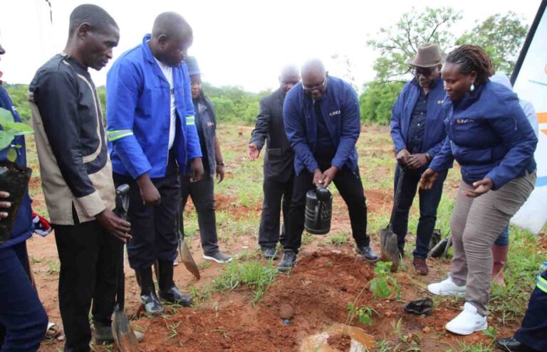 ZiCA PLANTS 100 FRUIT TREES IN KABWANGA