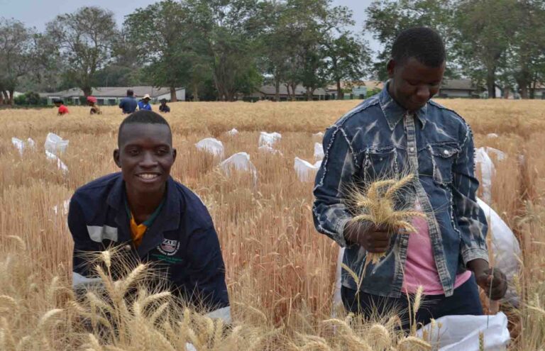 GOV’T DEPLOYING TECHNOLOGIES TO BOOST AGRICULTURE