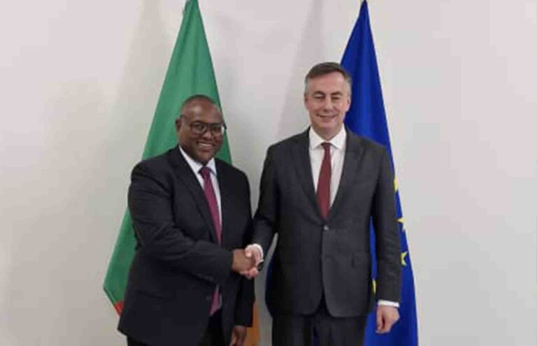 ZAMBIA INVITES EU TO OBSERVE 2026 GENERAL ELECTIONS