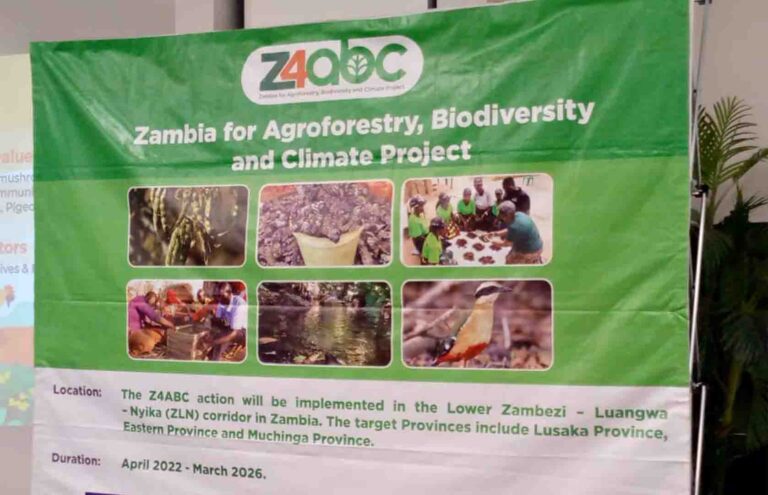 CIFOR LAUNCHES FINANCIAL MATCHING GRANTS TO BOOST SUSTAINABLE AGRICULTURE AND BIODIVERSITY