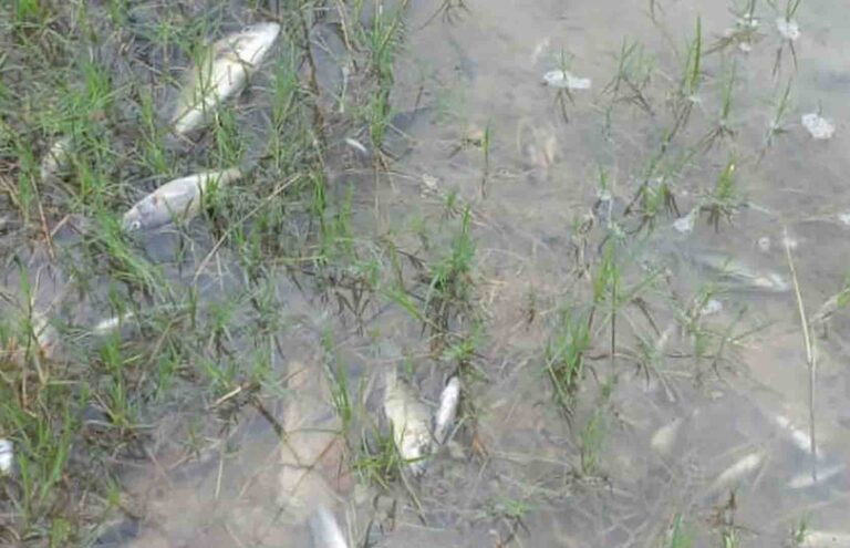 MPs DEMAND ACCOUNTABILITY OVER SINO METALS ACID SPILL